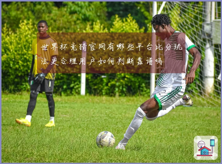 世界杯竞猜官网有哪些平台比分玩法更合理用户如何判断靠谱吗