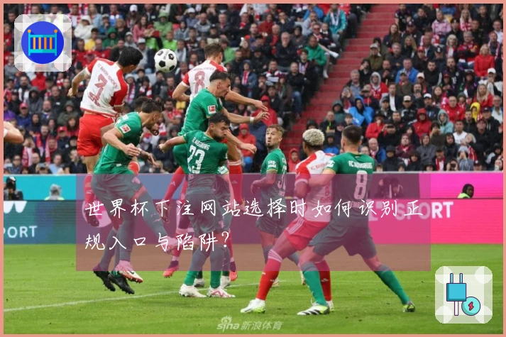 世界杯下注网站选择时如何识别正规入口与陷阱？