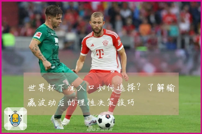 世界杯下注入口如何选择？了解输赢波动后的理性决策技巧体育资讯
